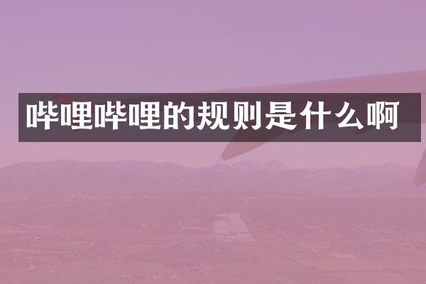 哔哩哔哩的规则是什么啊