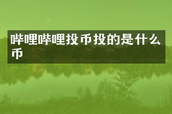 哔哩哔哩投币投的是什么币