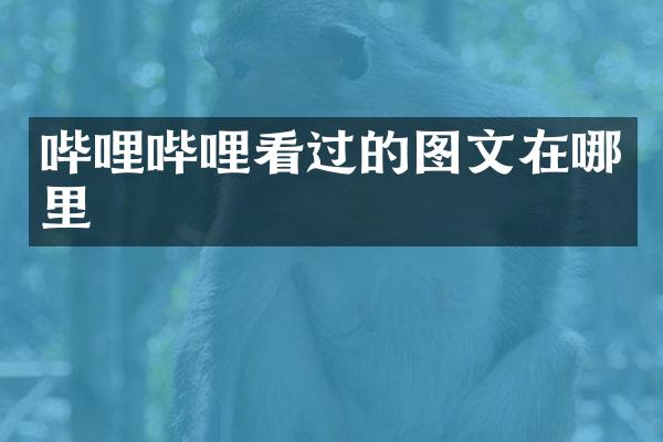 哔哩哔哩看过的图文在哪里