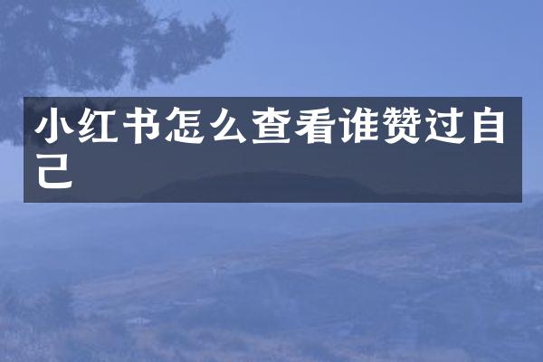 小红书怎么查看谁赞过自己