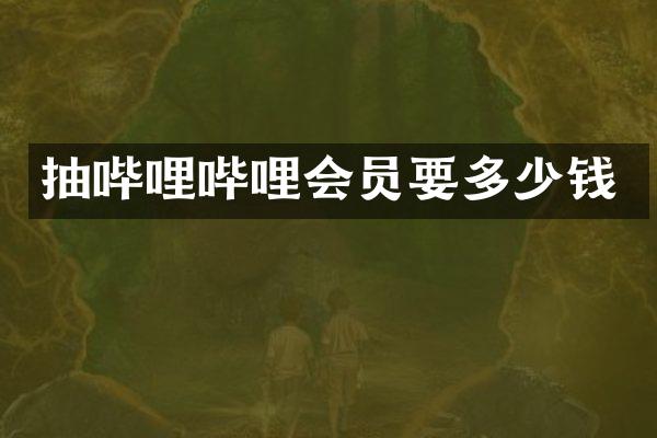 抽哔哩哔哩会员要多少钱