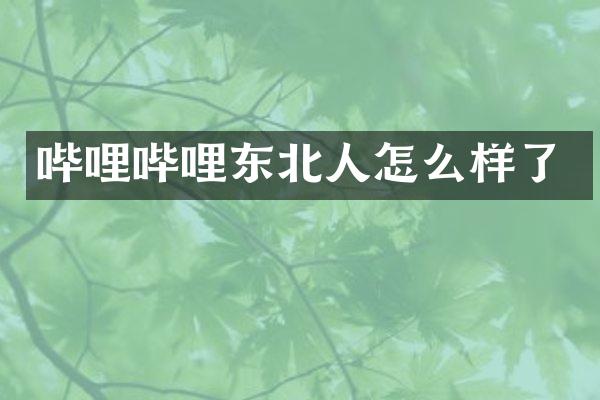 哔哩哔哩东北人怎么样了