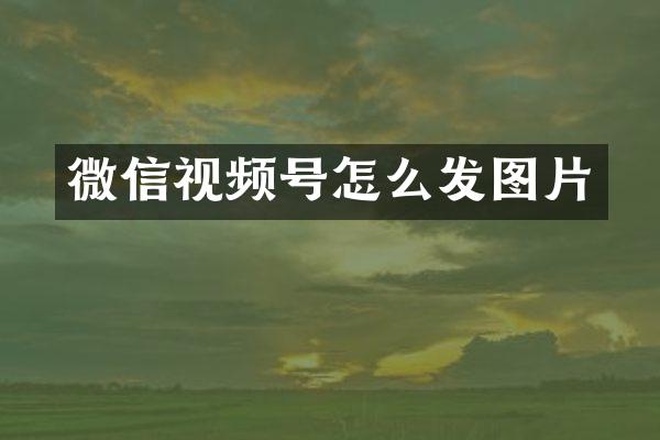 微信视频号怎么发图片