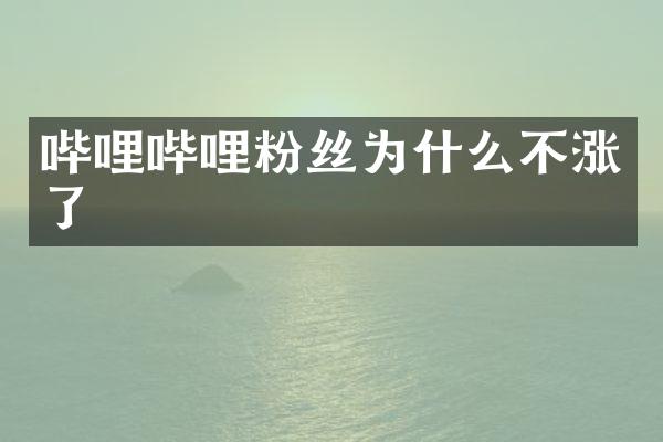 哔哩哔哩粉丝为什么不涨了