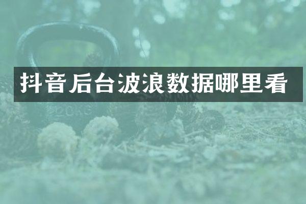 抖音后台波浪数据哪里看