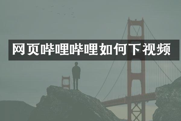 网页哔哩哔哩如何下视频