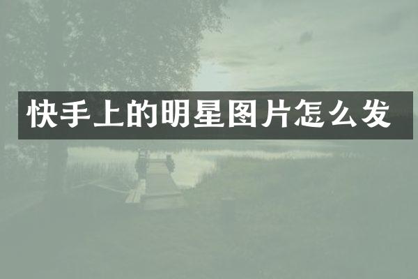 快手上的明星图片怎么发