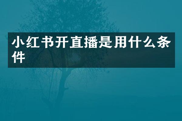 小红书开直播是用什么条件