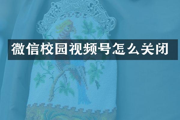 微信校园视频号怎么关闭