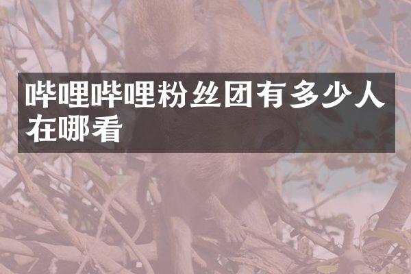 哔哩哔哩粉丝团有多少人在哪看