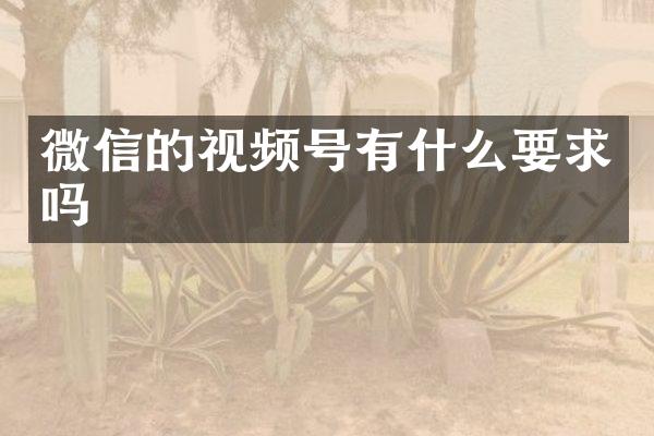 微信的视频号有什么要求吗