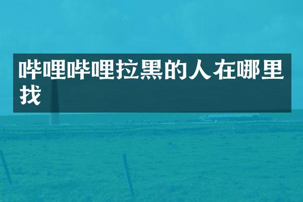 哔哩哔哩拉黑的人在哪里找