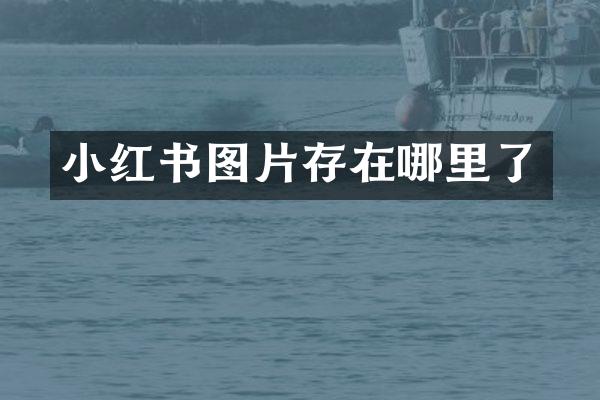 小红书图片存在哪里了