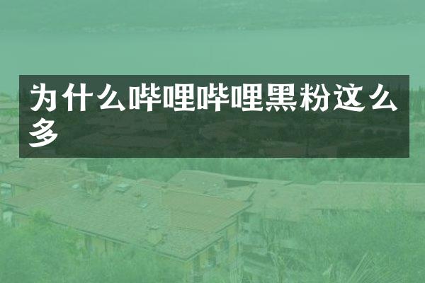 为什么哔哩哔哩黑粉这么多