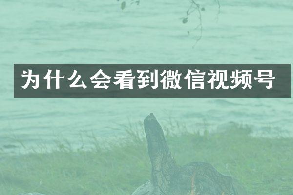 为什么会看到微信视频号