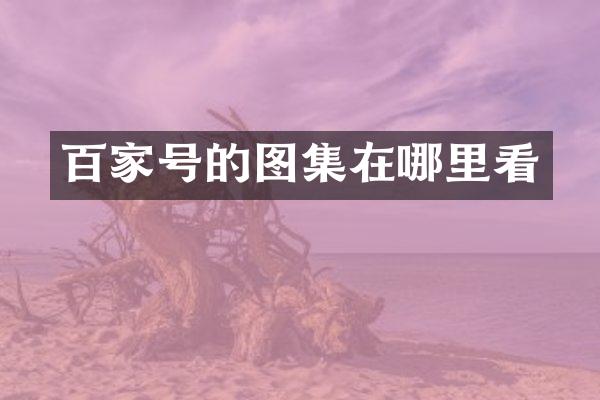 百家号的图集在哪里看