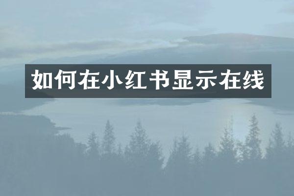如何在小红书显示在线