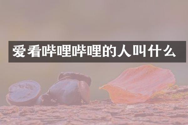 爱看哔哩哔哩的人叫什么
