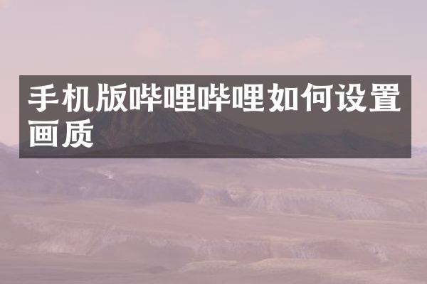 手机版哔哩哔哩如何设置画质