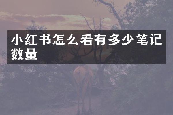 小红书怎么看有多少笔记数量