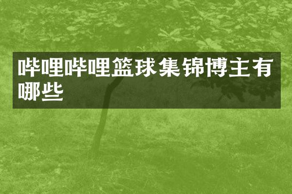 哔哩哔哩篮球集锦博主有哪些