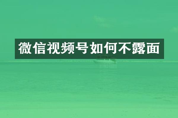 微信视频号如何不露面