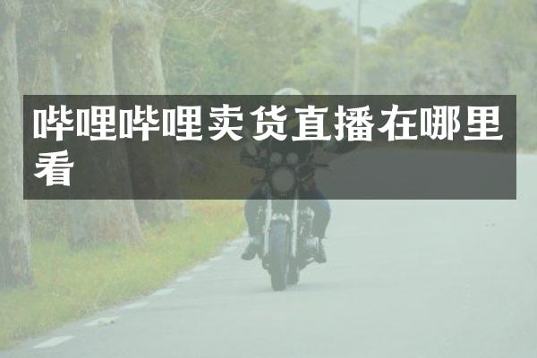 哔哩哔哩卖货直播在哪里看