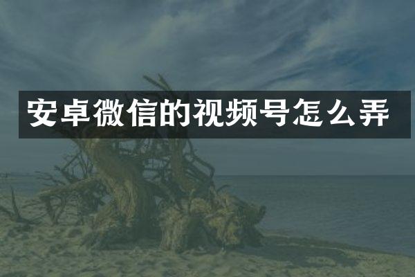 安卓微信的视频号怎么弄