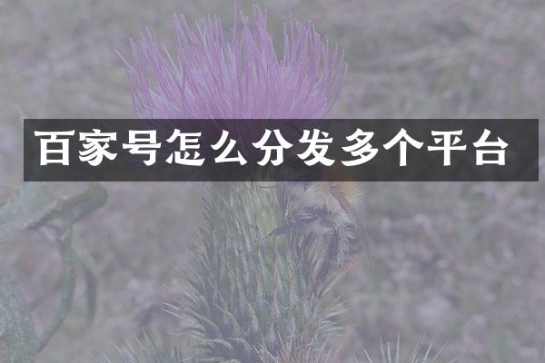 百家号怎么分发多个平台