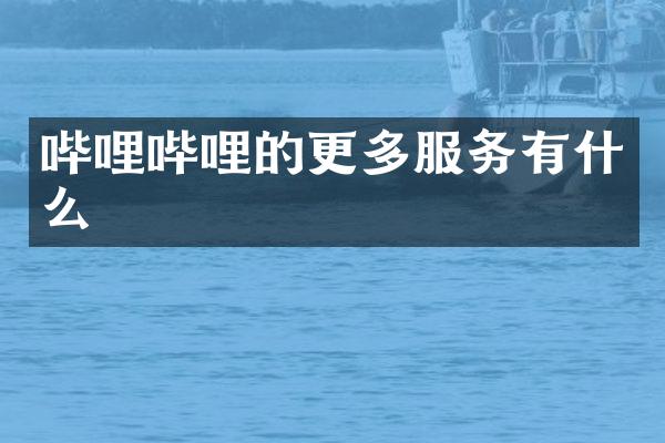 哔哩哔哩的更多服务有什么