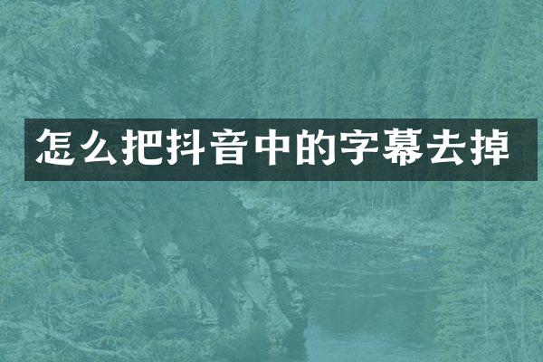 怎么把抖音中的字幕去掉