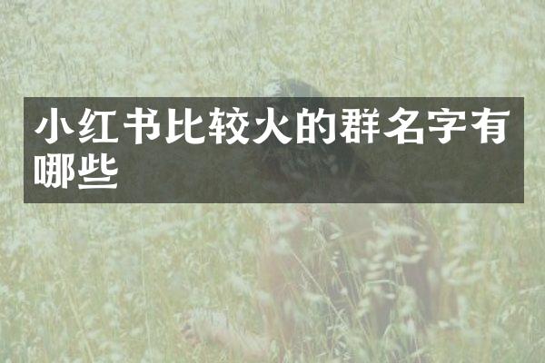 小红书比较火的群名字有哪些