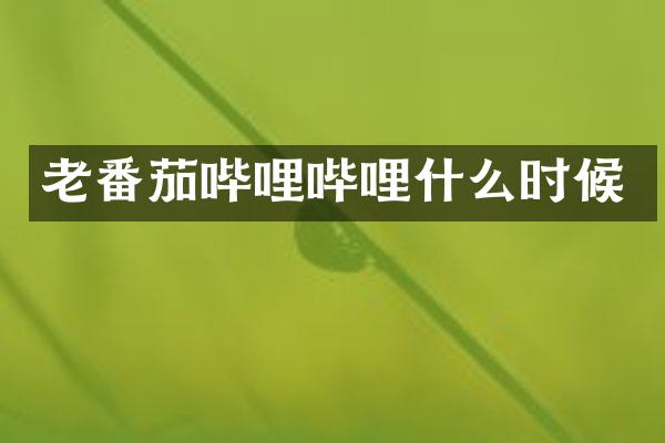 老番茄哔哩哔哩什么时候