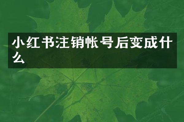 小红书注销帐号后变成什么