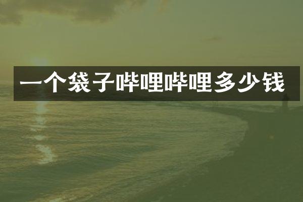 一个袋子哔哩哔哩多少钱