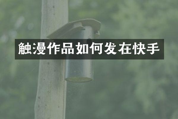 触漫作品如何发在快手
