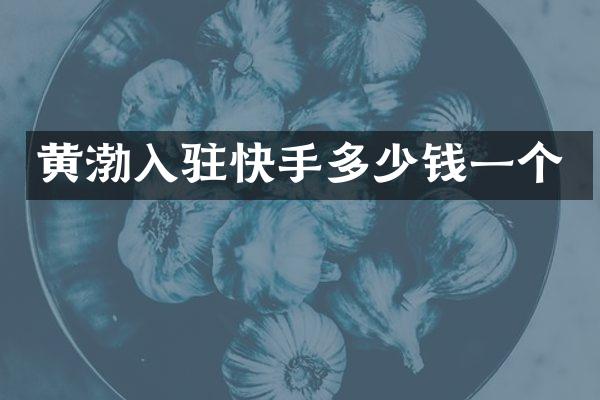 黄渤入驻快手多少钱一个
