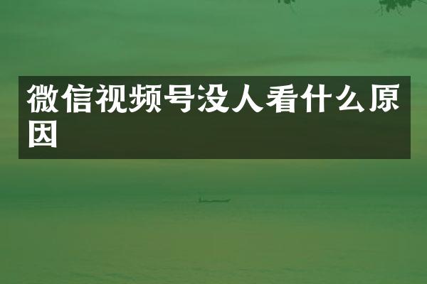 微信视频号没人看什么原因