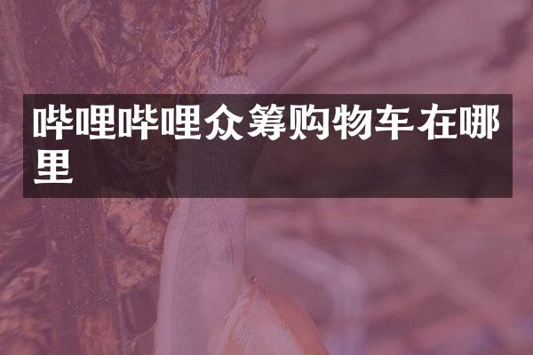 哔哩哔哩众筹购物车在哪里