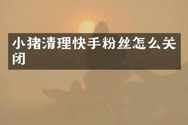 小猪清理快手粉丝怎么关闭
