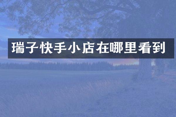 瑞子快手小店在哪里看到