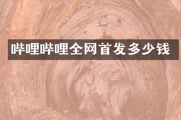哔哩哔哩全网首发多少钱