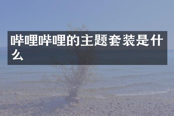 哔哩哔哩的主题套装是什么