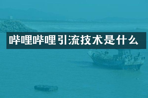 哔哩哔哩引流技术是什么