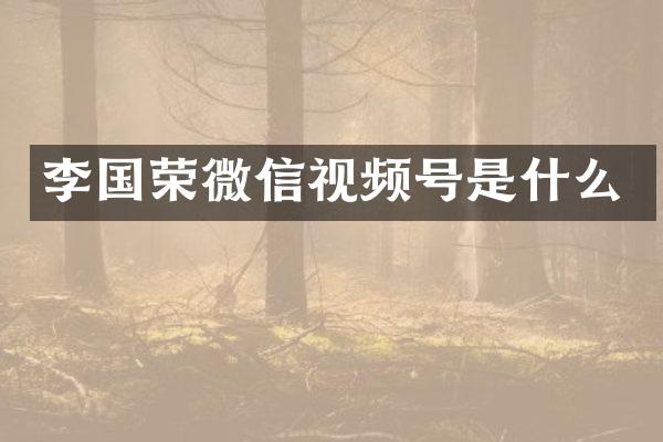 李国荣微信视频号是什么