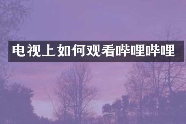 电视上如何观看哔哩哔哩