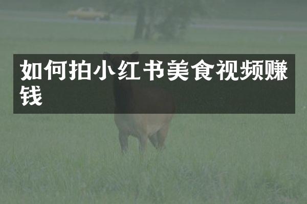 如何拍小红书美食视频赚钱