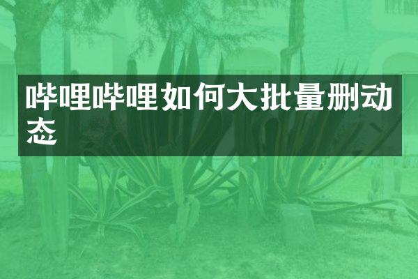 哔哩哔哩如何大批量删动态