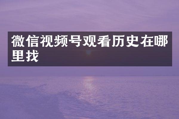 微信视频号观看历史在哪里找