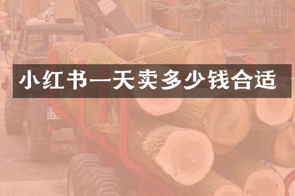 小红书一天卖多少钱合适